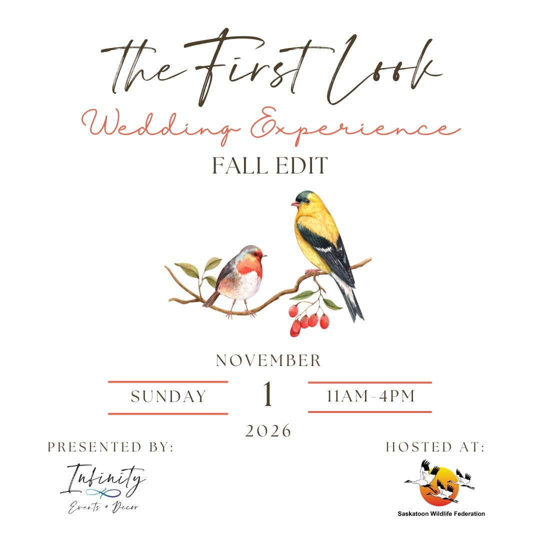 First Look Wedding Experience - Fall Edit